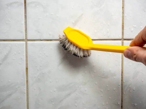 Best Local Mold Removal Service  in Canton, SD