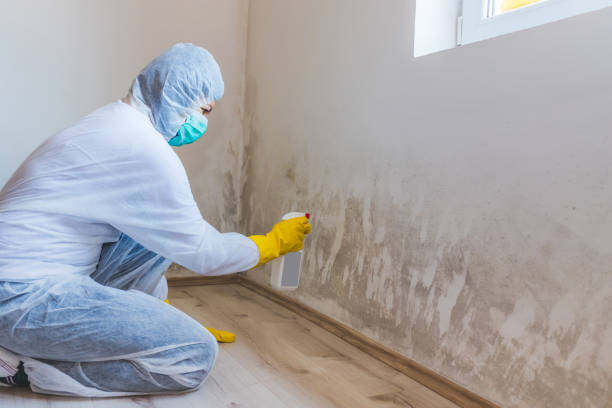 Best Mold Testing  in Canton, SD