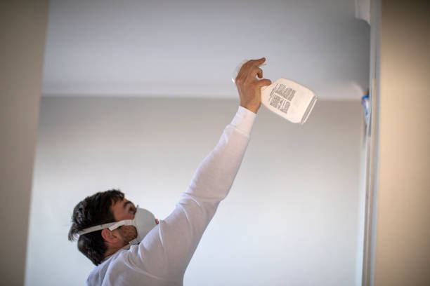 Best Mold Removal Near Me  in Canton, SD
