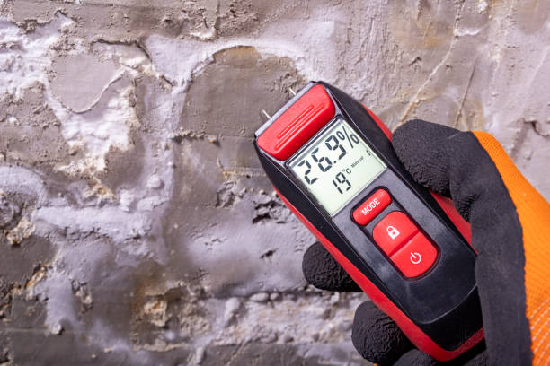 Best Black Mold Removal  in Canton, SD