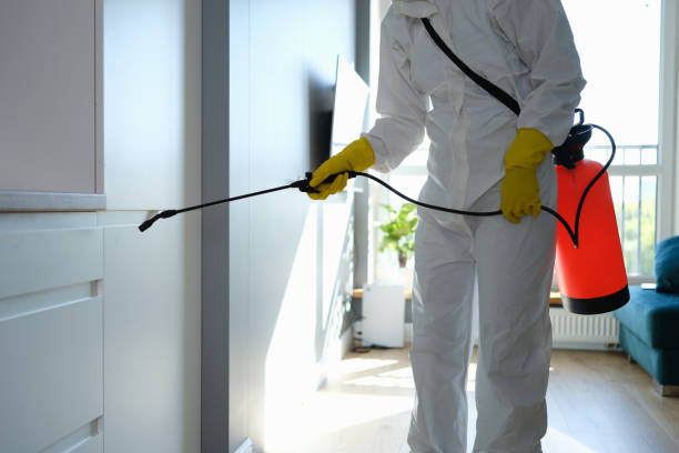 Best Mold Removal Company Near Me  in Canton, SD